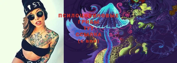 трава Алексин