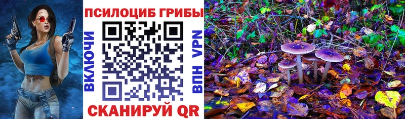 как найти закладки  Кашин  Галлюциногенные грибы мицелий 