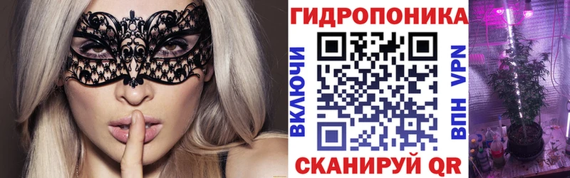 Бошки марихуана Amnesia  Кашин 